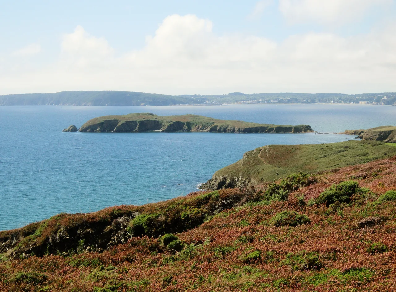 L’île de l’Aber au large de Crozon, vue au-dessus de la lande et des falaises.